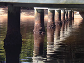 Pilings under a pier - by Peter Bergstrom