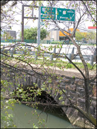 Pipe 263 below a highway overpass - photo by Skip Brown