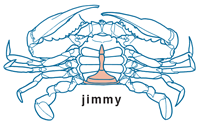 Jimmy by Al Kettler