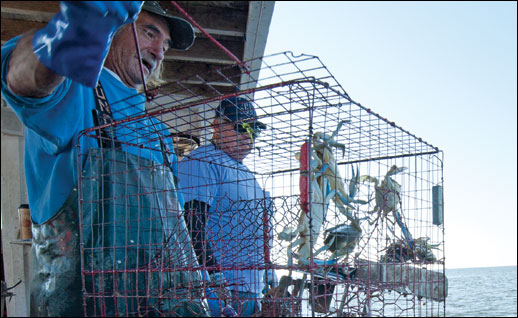 Bobby Abner and Donny Eastridge with a crab pot. Credit: Michael W. Fincham.