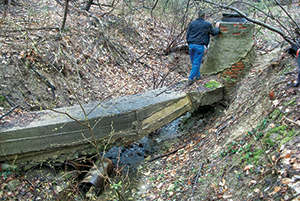 Milkhouse Run. Credit: Biohabitats Inc.